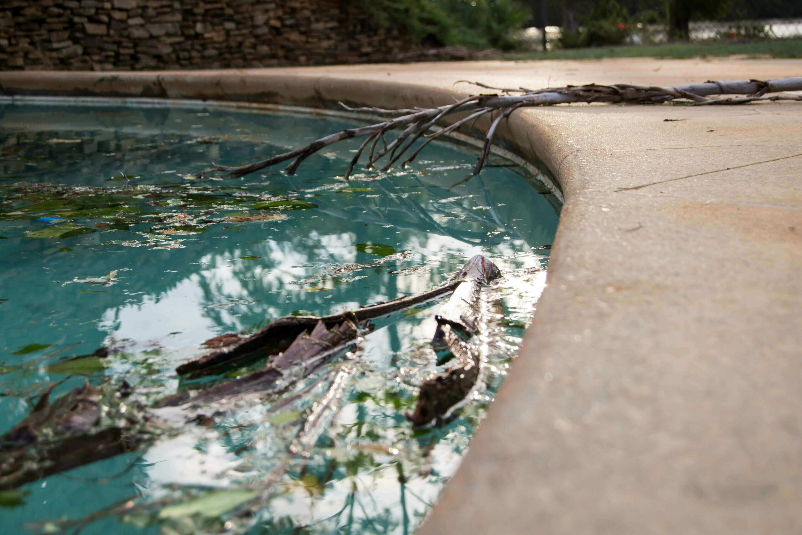 Debris in pool after storm clean